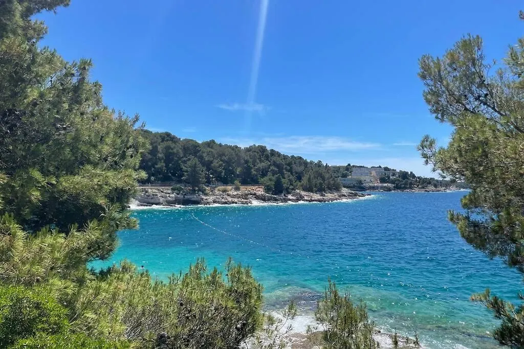 House Marea-Newly Renovated Apartment 100M From The Sea Pula 0*,  Croatia